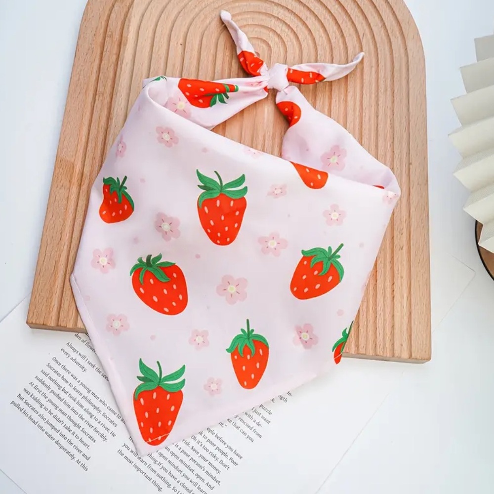 🆕 Strawberry Print Pet Bandana